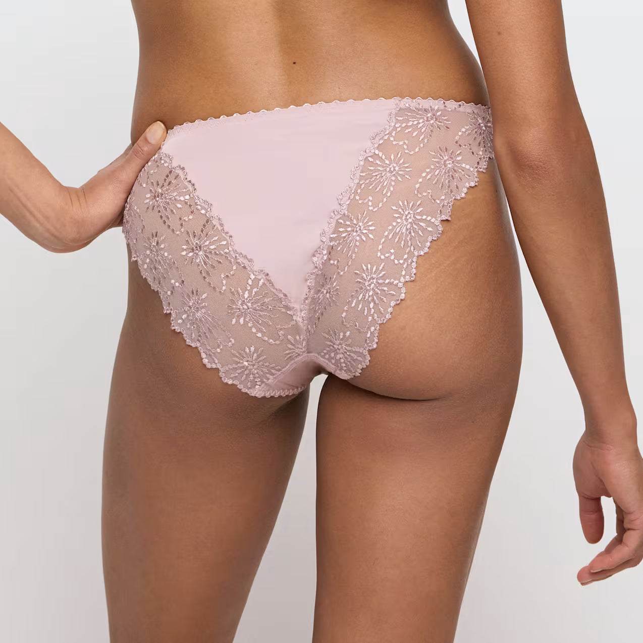 Jane Italian Brief