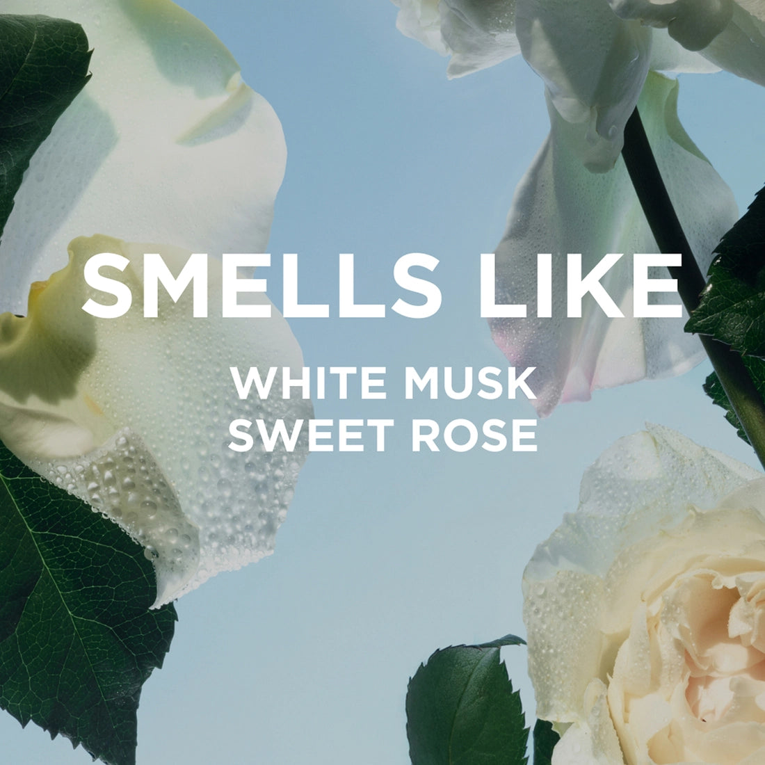 Rosie Everyday Body Milk with White Musk