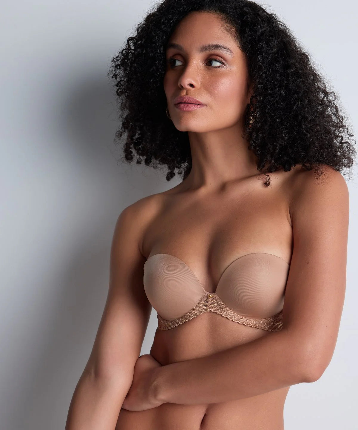 Sheer Emotion Bandeau Plunge Bra