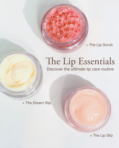 The Lip Essentials - Discovery Kit