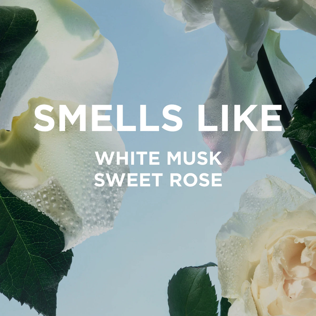 Rosie Travel Spray