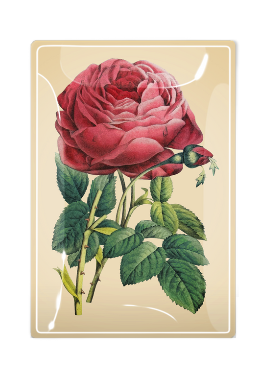 Pink Rose Decoupage Glass Tray