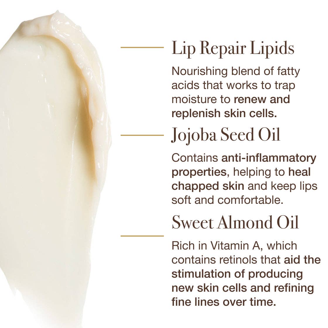 The Dream Slip® Overnight Lip Mask