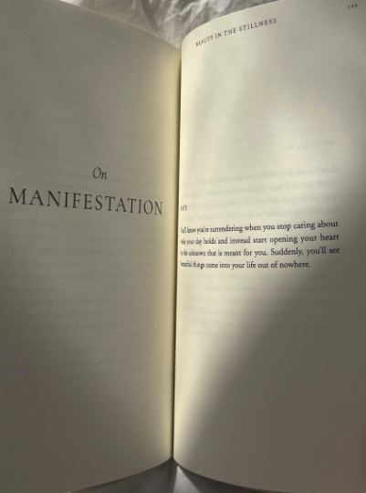 Beauty In The Stillness Book