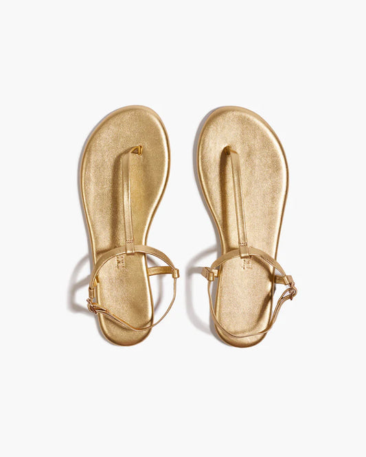 Mariana Metallics